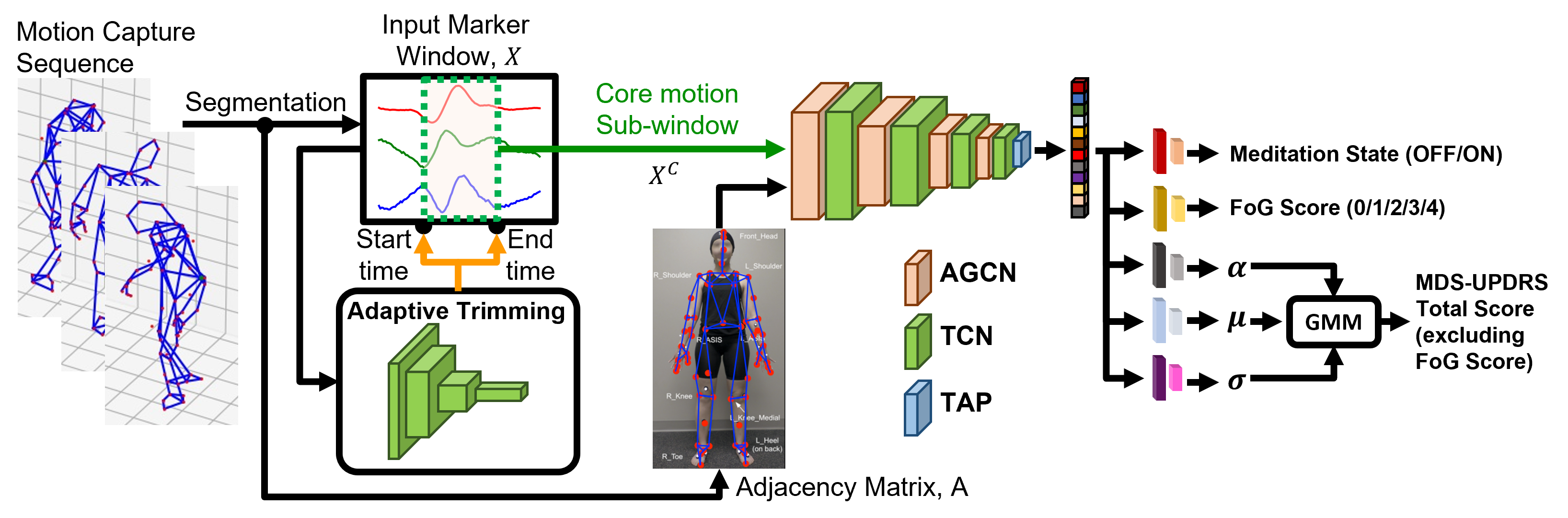 An Explainable Spatial-Temporal Graphical Convolutional Network to Score Freezing of Gait in Parkinsonian Patients